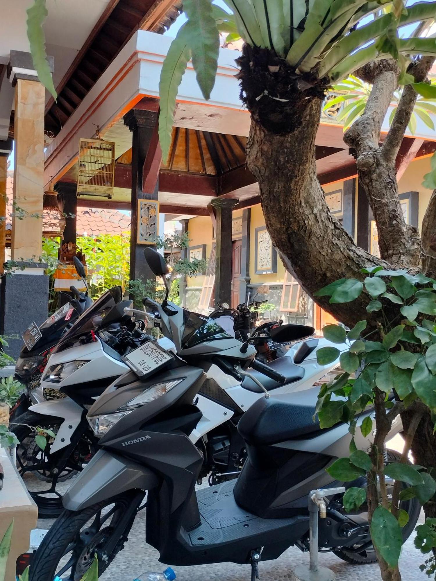Tirtasuci House Hotel Kuta Lombok Eksteriør billede